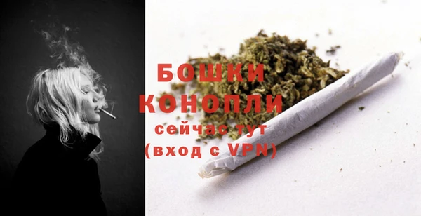 сатива Белокуриха
