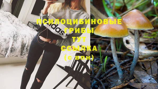 сатива Белокуриха