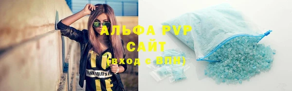 сатива Белокуриха