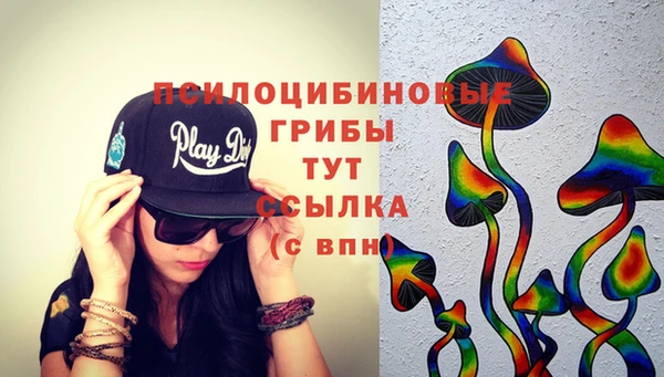 сатива Белокуриха