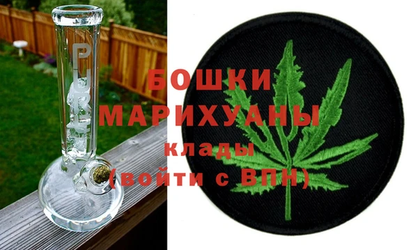сатива Белокуриха