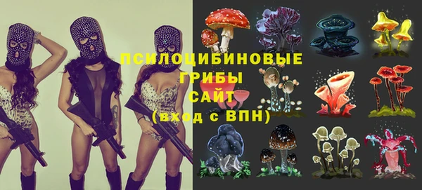 сатива Белокуриха