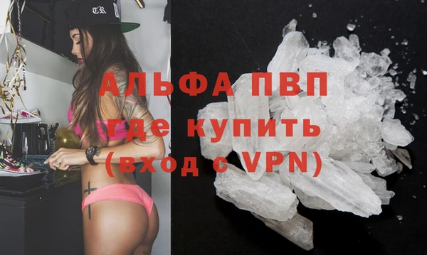 сатива Белокуриха