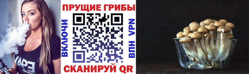 Галлюциногенные грибы мицелий  Тотьма 