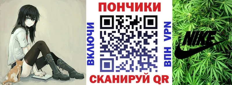 Бошки Шишки планчик  продажа наркотиков  Тотьма 